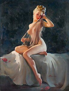 Alluring pin-up girl nice